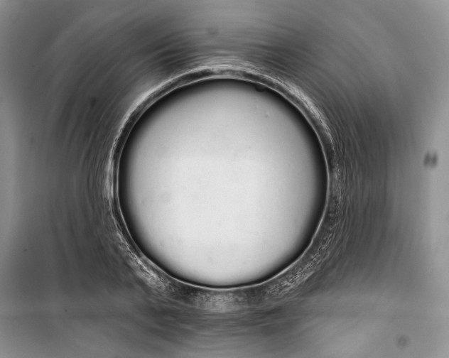 X0000100200791200806131228