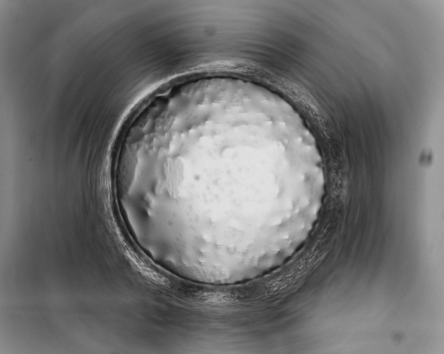 X0000100200792200806131228