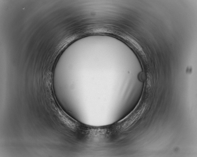 X0000100200793200806131228