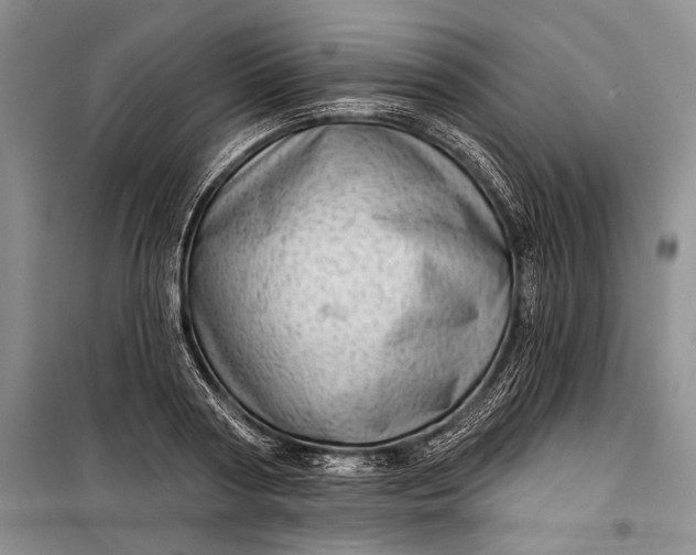 X0000100200794200806131228