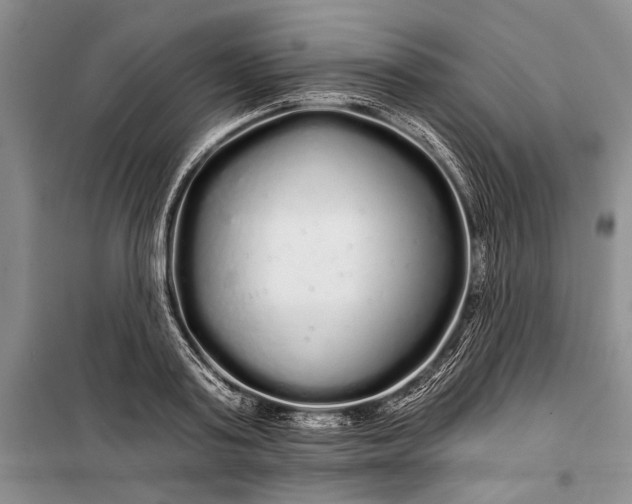 X0000100200795200806131228