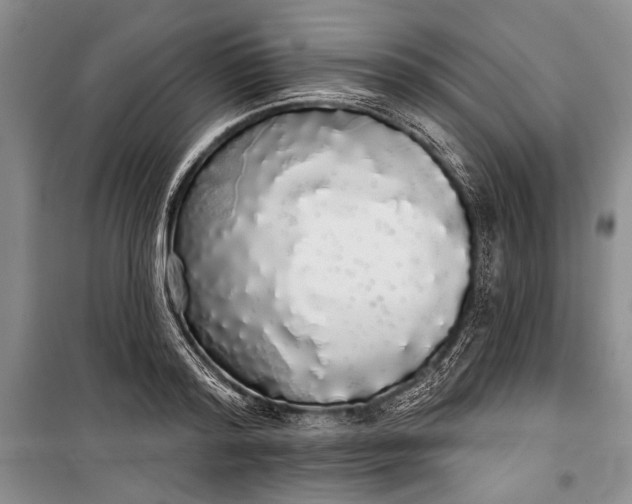 X0000100200796200806131228