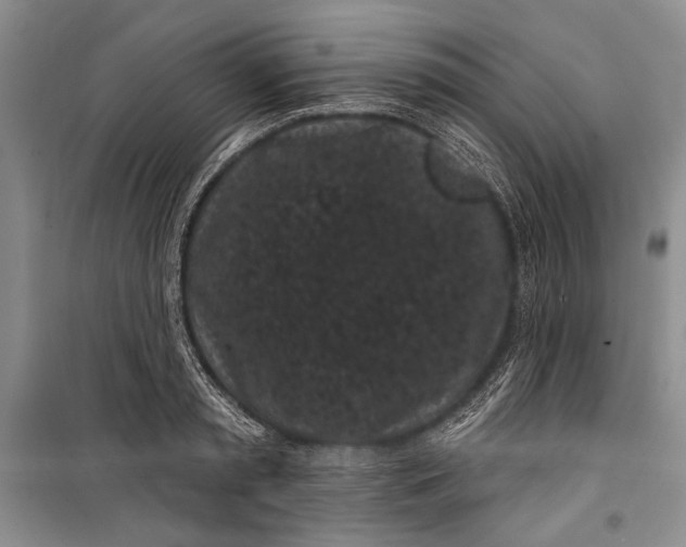 X0000100200797200806131228