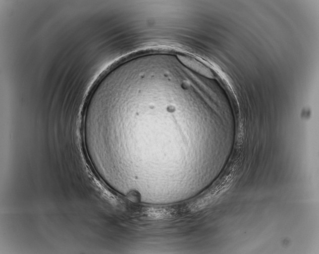 X0000100200799200806131228