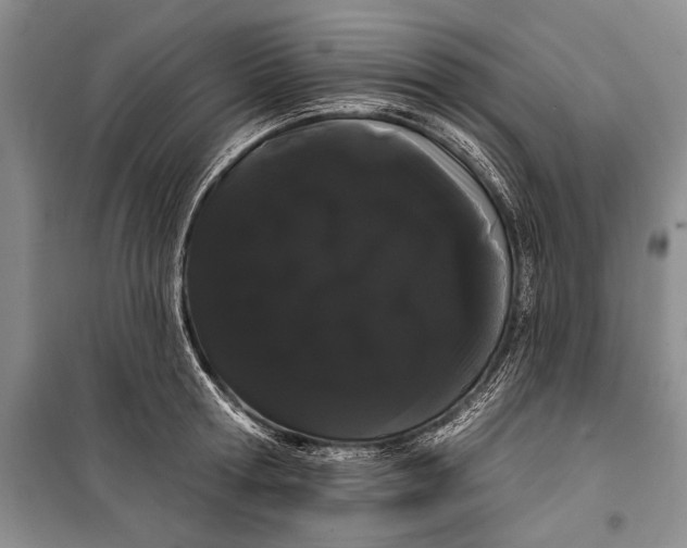 X0000100200802200806131228