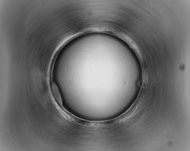 X0000100200803200806131228