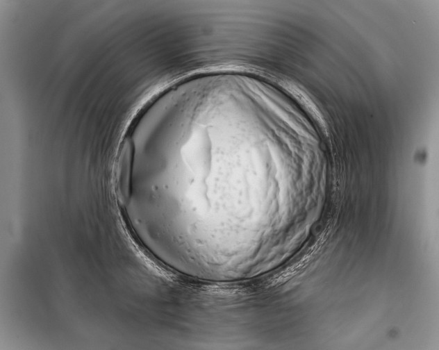 X0000100200805200806131228