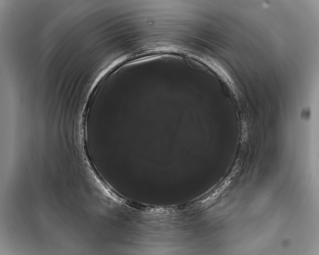 X0000100200806200806131228