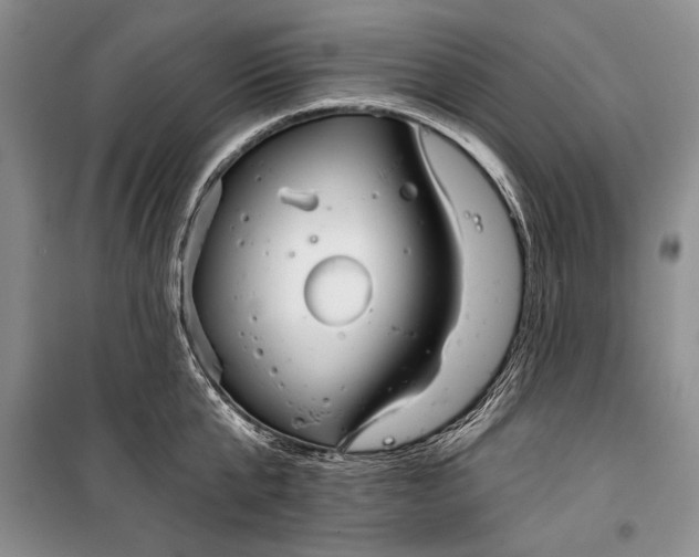 X0000100200807200806131228