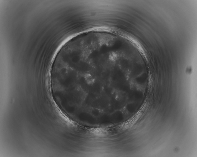 X0000100200808200806131228