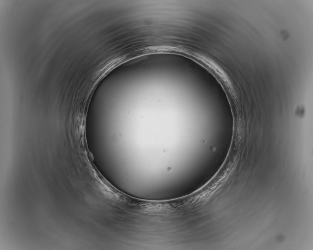 X0000100200809200806131228