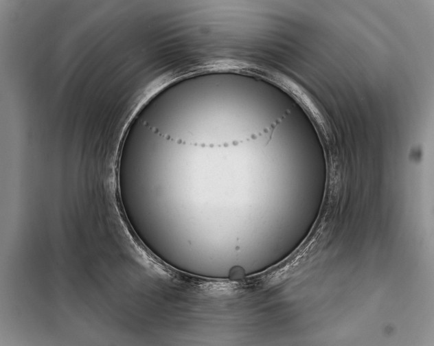 X0000100200810200806131228