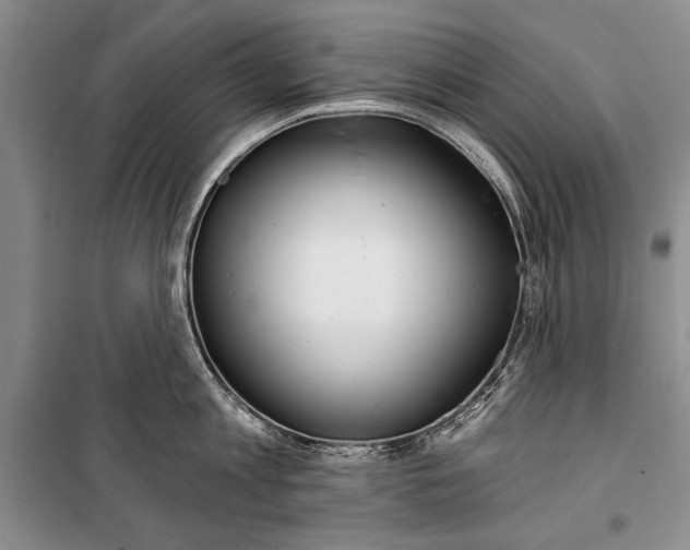 X0000100200813200806131228