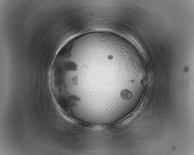 X0000100200814200806131228