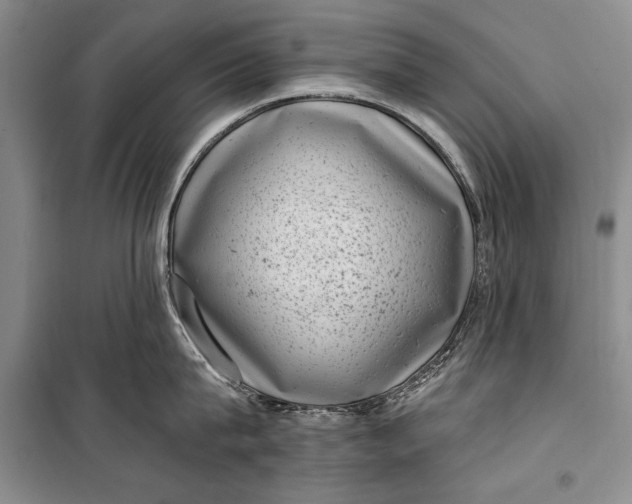 X0000100200815200806131228