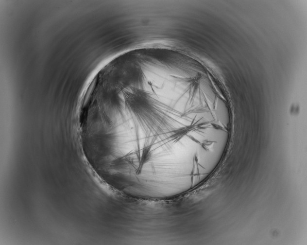 X0000100200816200806131228