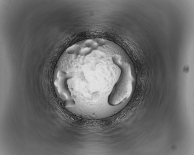 X0000100200817200806131227