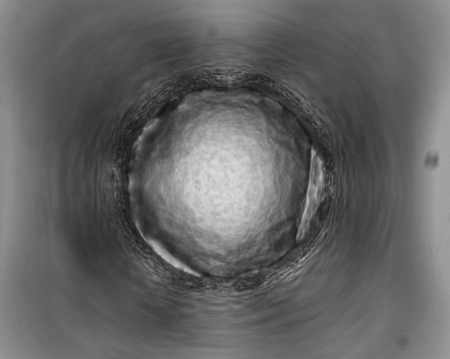 X0000100200818200806131227