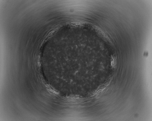 X0000100200819200806131227