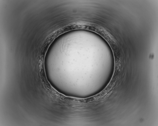 X0000100200821200806131227