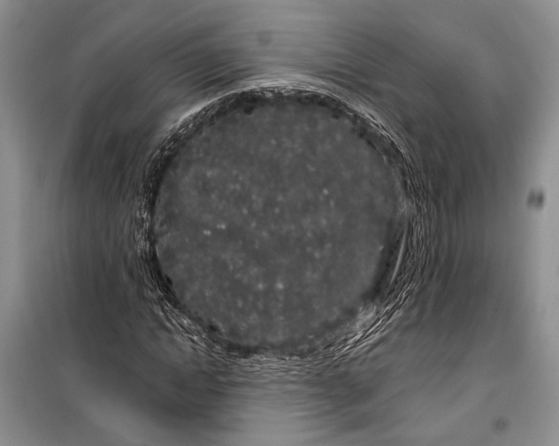 X0000100200822200806131227