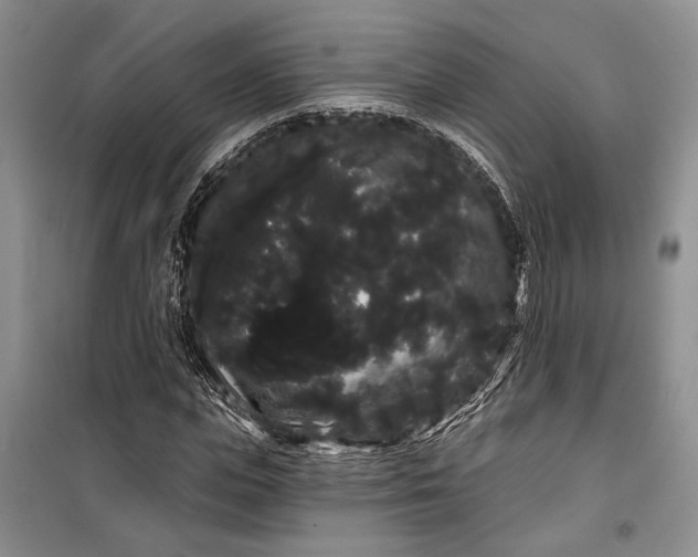 X0000100200823200806131227