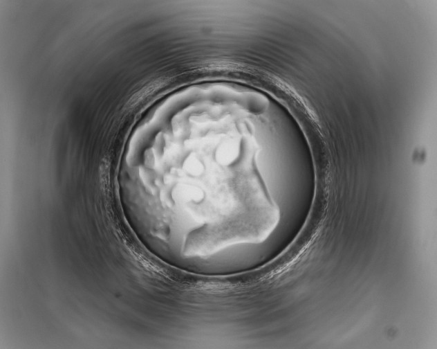 X0000100200825200806131227