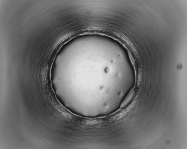 X0000100200826200806131227