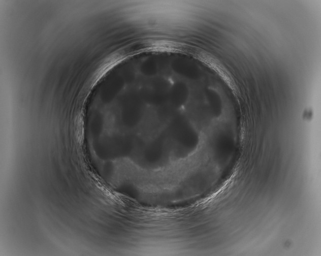 X0000100200829200806131227