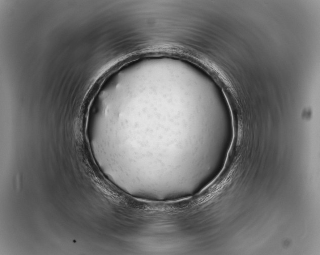 X0000100200830200806131227