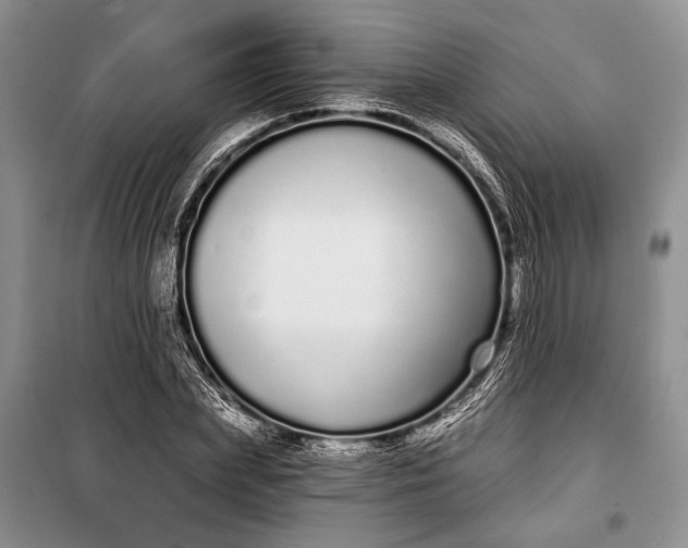 X0000100200831200806131227