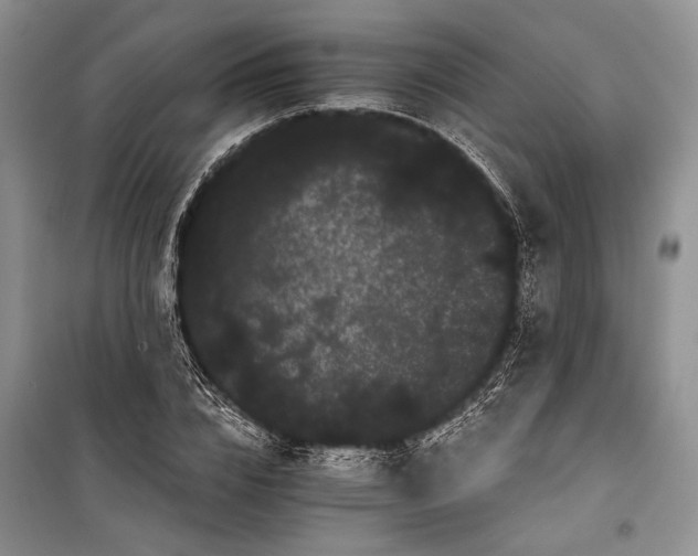 X0000100200832200806131227