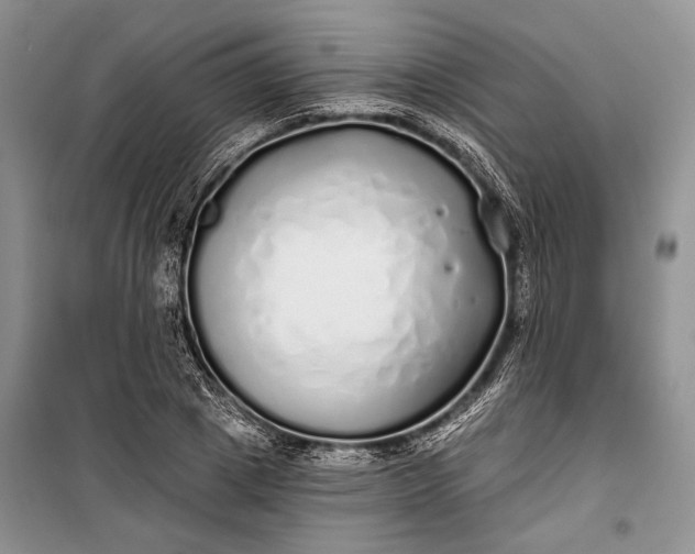 X0000100200833200806131227