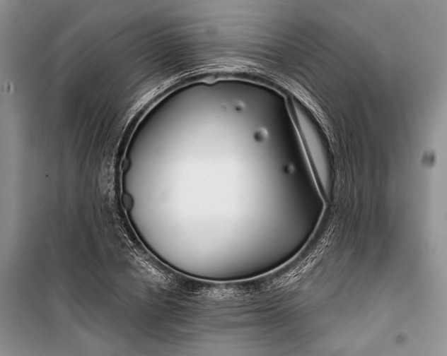 X0000100200834200806131228