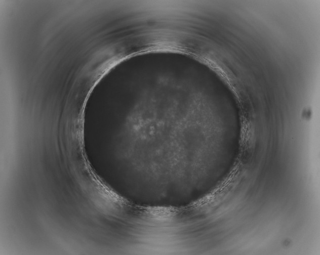 X0000100200836200806131228