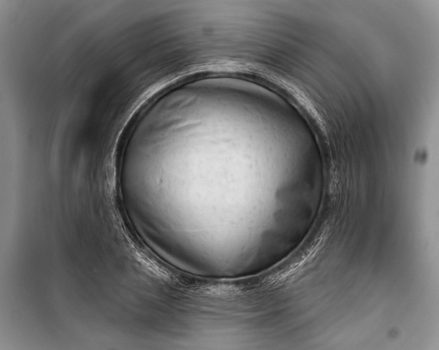 X0000100200837200806131228