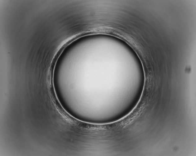 X0000100200838200806131228