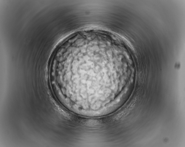 X0000100200839200806131228