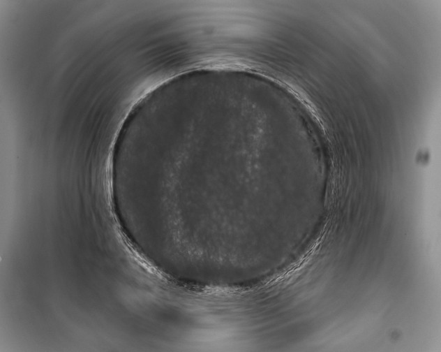 X0000100200840200806131228