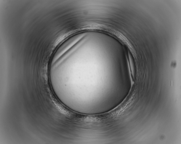 X0000100200842200806131228