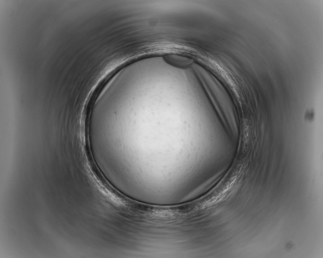 X0000100200843200806131228