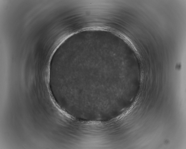 X0000100200844200806131228