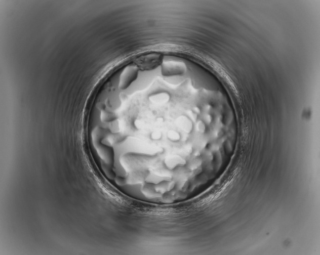 X0000100200845200806131228