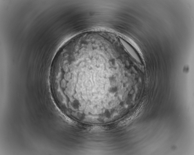 X0000100200847200806131228