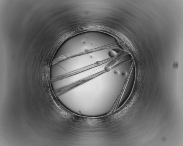 X0000100200849200806131228