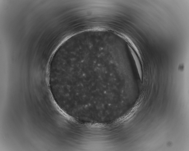 X0000100200851200806131228