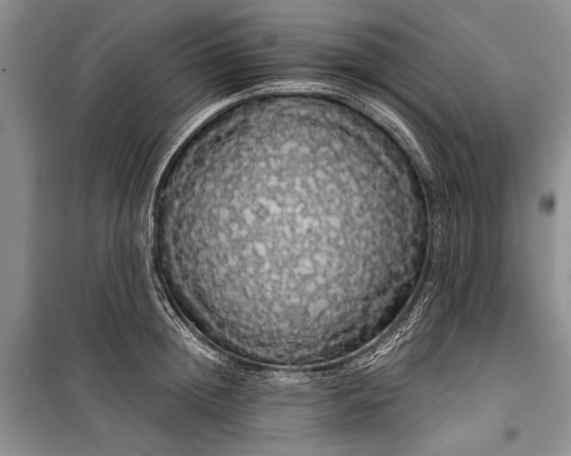 X0000100200852200806131228