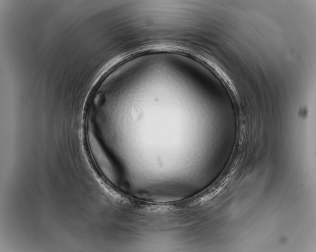 X0000100200853200806131228