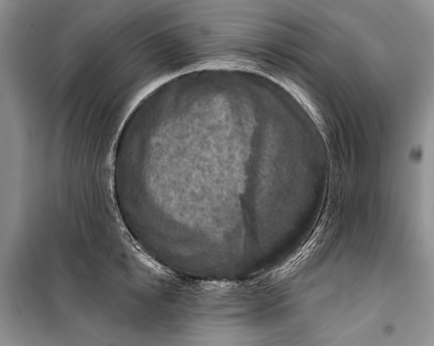 X0000100200854200806131228