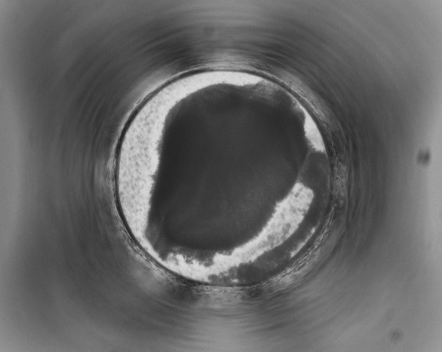 X0000100200856200806131228